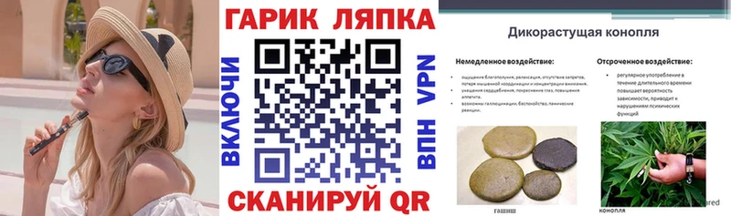 МЕГА ТОР  Саров  мориарти формула  где продают   ГАШИШ гарик 