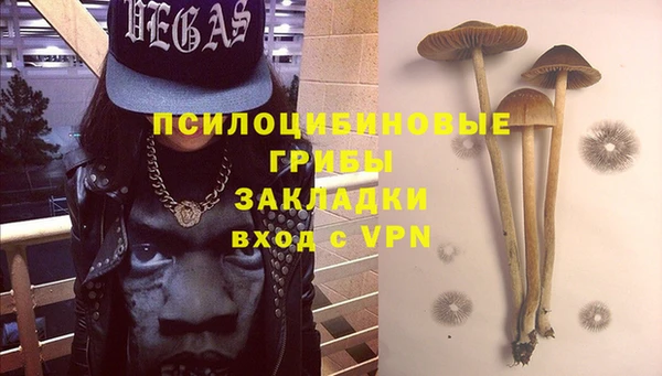 гидра Алексеевка