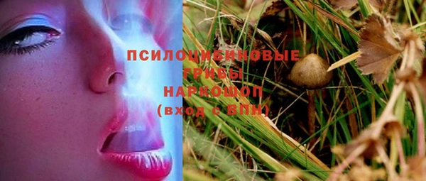 гидра Алексеевка
